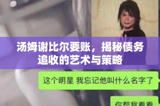 汤姆谢比尔要账，揭秘债务追收的艺术与策略