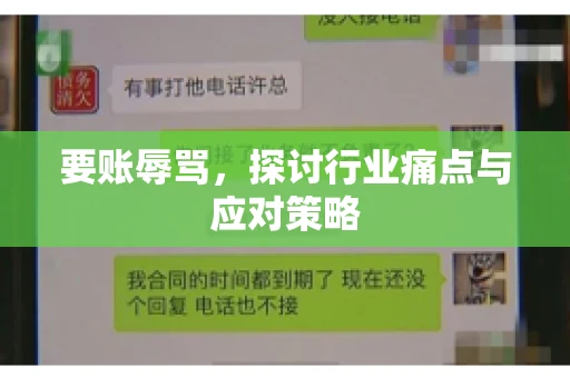 要账辱骂，探讨行业痛点与应对策略