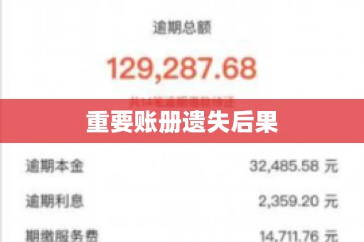 重要账册遗失后果