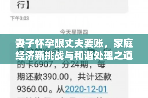 妻子怀孕跟丈夫要账，家庭经济新挑战与和谐处理之道