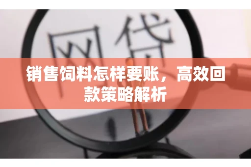 销售饲料怎样要账，高效回款策略解析