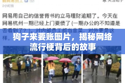 狗子来要账图片，揭秘网络流行梗背后的故事