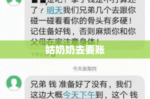 姑奶奶去要账