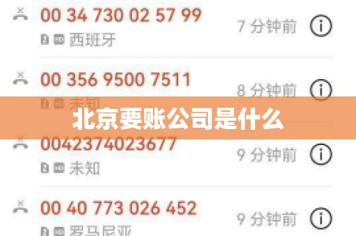 北京要账公司是什么