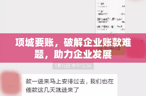 项城要账，破解企业账款难题，助力企业发展