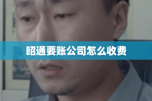 昭通要账公司怎么收费