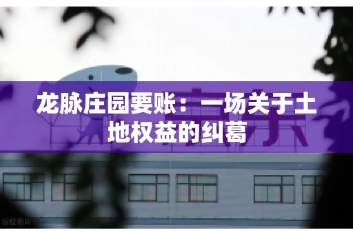 龙脉庄园要账：一场关于土地权益的纠葛
