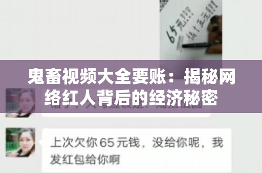 鬼畜视频大全要账：揭秘网络红人背后的经济秘密