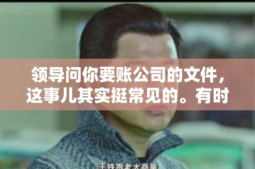 领导问你要账公司的文件，这事儿其实挺常见的。有时候，你可能一头雾水，不知道从何下手。今天，我就来和大家聊聊这个话题，希望能帮到大家。