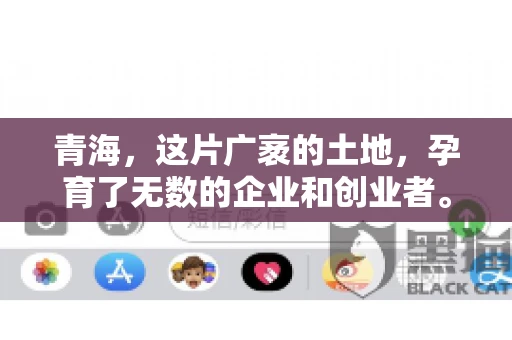 青海，这片广袤的土地，孕育了无数的企业和创业者。然而，在商业活动中，难免会遇到一些欠款问题。这时候，找一家专业的要账公司就显得尤为重要。那么，青海专业要账公司的电话是多少呢？今天，我就来和大家聊聊这个话题。