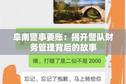 阜南警事要账：揭开警队财务管理背后的故事