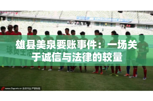 雄县美泉要账事件：一场关于诚信与法律的较量