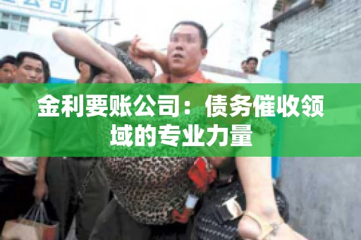 金利要账公司：债务催收领域的专业力量