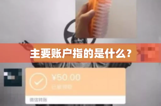 主要账户指的是什么？