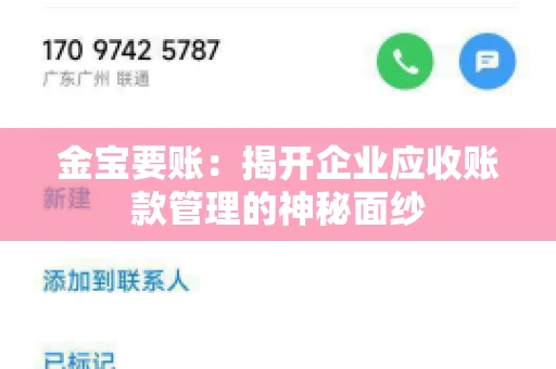 金宝要账：揭开企业应收账款管理的神秘面纱