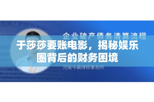 于莎莎要账电影，揭秘娱乐圈背后的财务困境